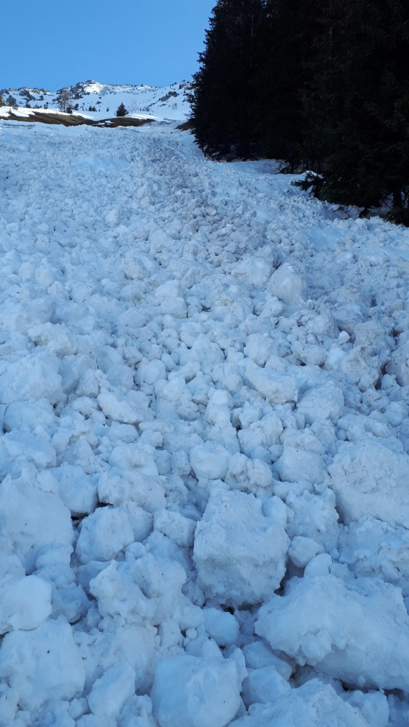 Mit abgeschnalleten Skiern konnte man gut drüber laufen.