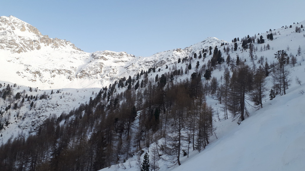 Rückblick. Manche fahren auch direkt im Tal oder links am Hang. Dort herrscht aber Lawinenefahr