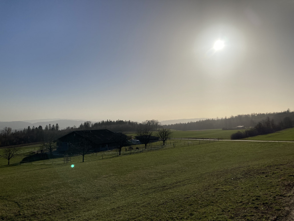Keine zwanzig Minuten später befindet man sich gut 200m oberhalb der Stadt in einem kleinen Naherholungsgebiet. Das Foto wurde mit Blick Richtung Süden aufgenommen. Bei anderen Sichtverhältnissen kann man von hier die Zentralschweizer und Berner Alpen sehen (Titlis, Rigi, Pilatus, Eiger, Mönch, Jungfrau etc.). Ein Bus fährt alle fünfzehn Minuten hier hoch. Ebenfalls führt eine Strasse nach oben.