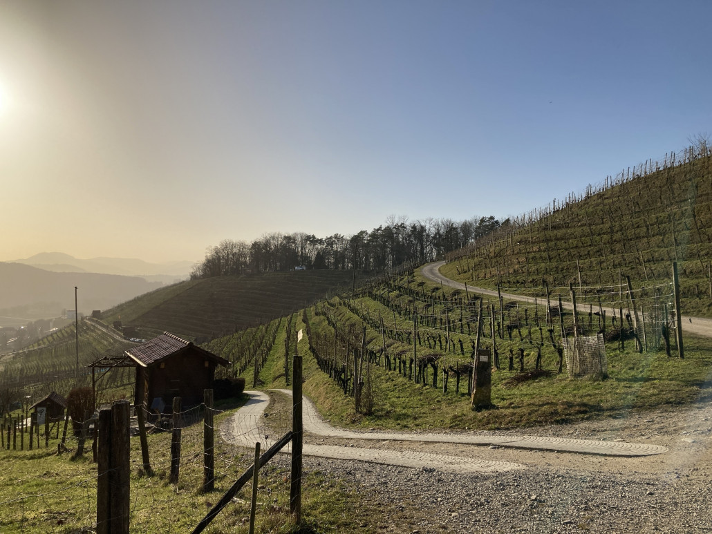In vielen Gemeinden wird Wein angebaut. Das Durchfahren von Weinbergen gefällt mir, ebenfalls die dazugehörigen Rebfeste ;-)