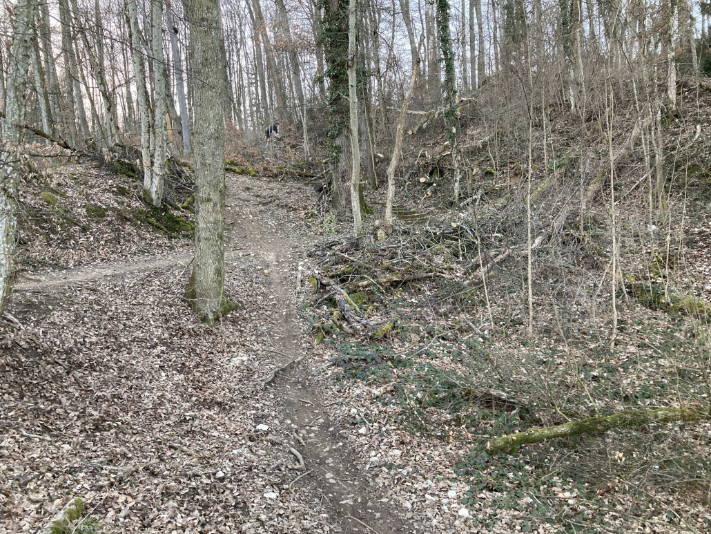 Relativ steiler und anspruchsvoller Streckenabschnitt