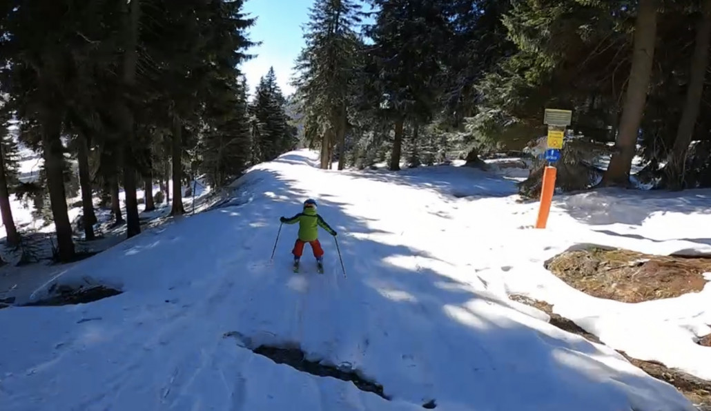 Piste 2 durch den Wald