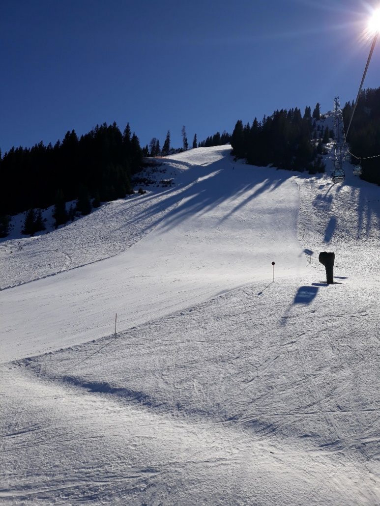 Scheffau oberhalb Neualm