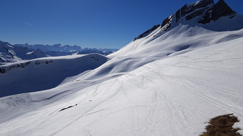Montag: Schön glänzender Firn. Nicht zu hart oder zu weich