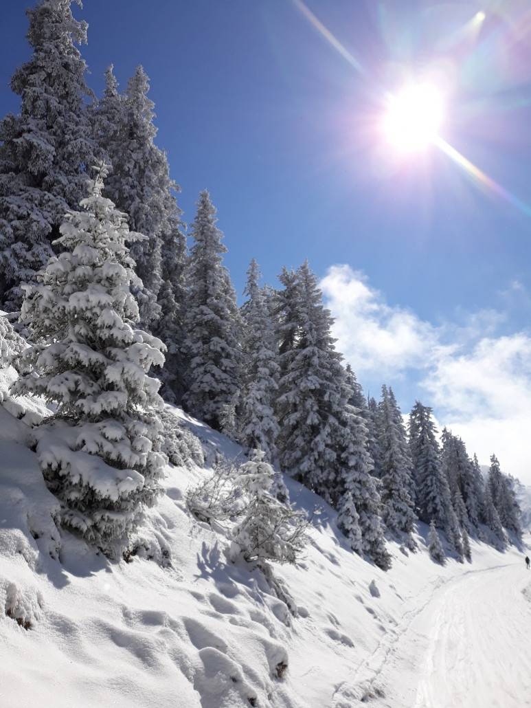 Skiweg vom Chor Richtung Talkaser