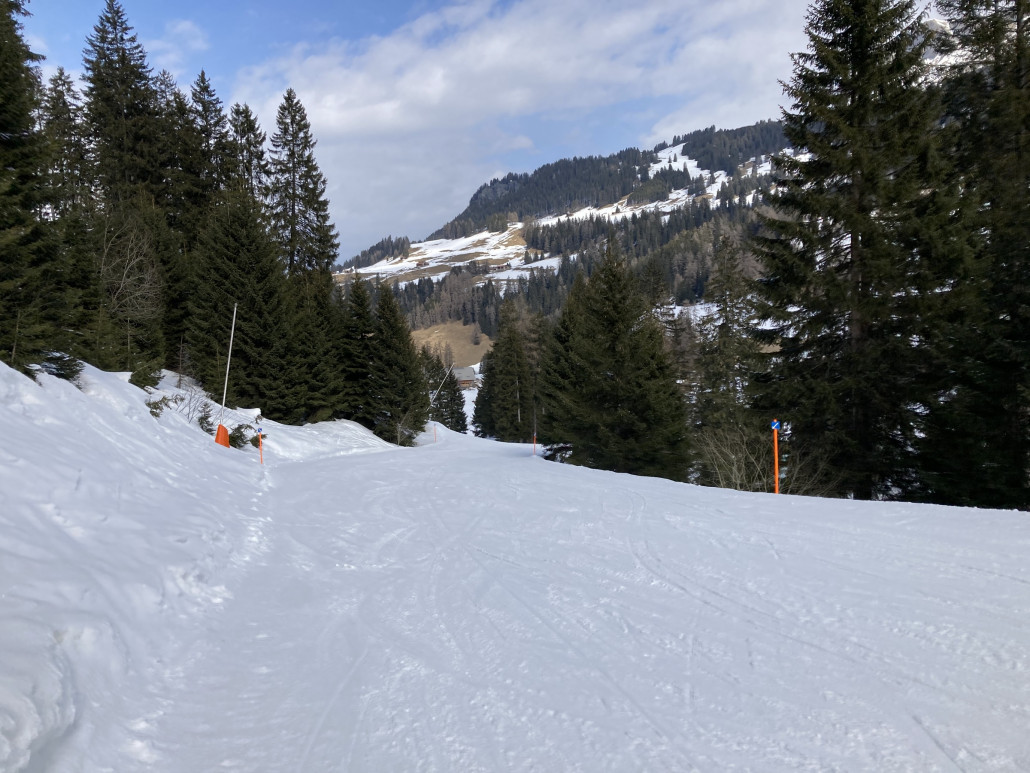 Talabfahrt nach Churwalden. Noch reichlich Schnee und heute schnell zu fahren.
