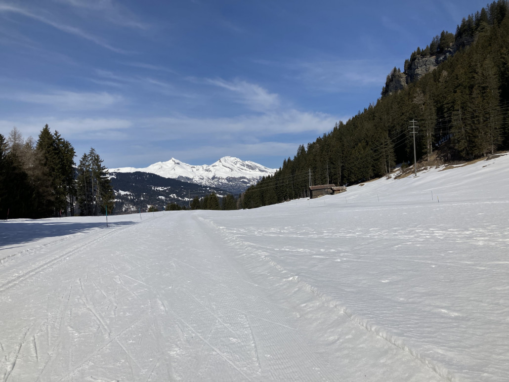 Auf dem Mittelberg mit Blick Richtung Calanda
