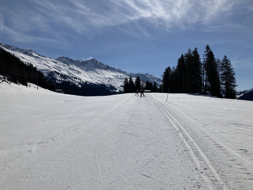 Loipe auf dem Mittelberg. Die Lenzerheidner Ostseite im Hintergrund.