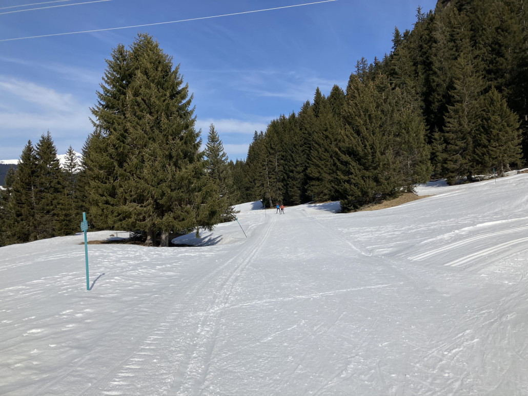Loipenabschnitt zwischen Lantsch und Lenzerheide. Salzige Angelegenheit.