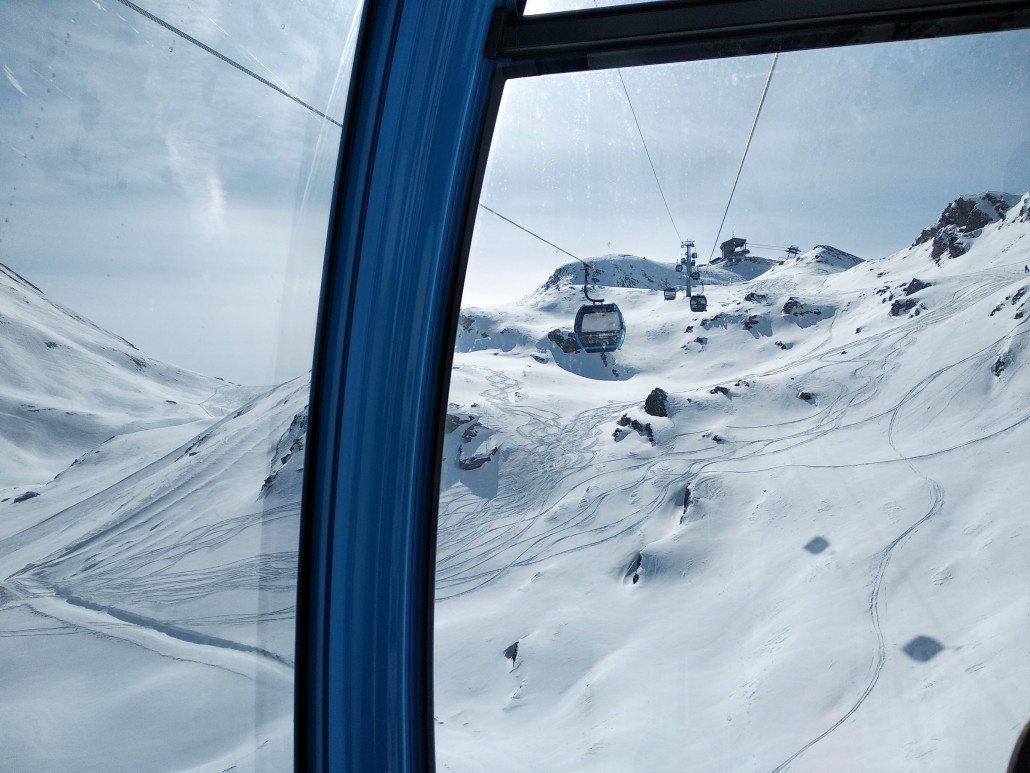 IMG_20210312_103418   'Piste' Schneehuhn.jpg