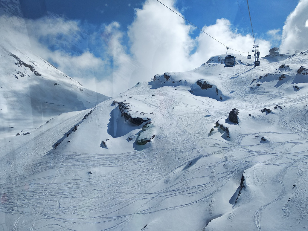 IMG_20210312_124138    'Piste' Schneehuhn.jpg