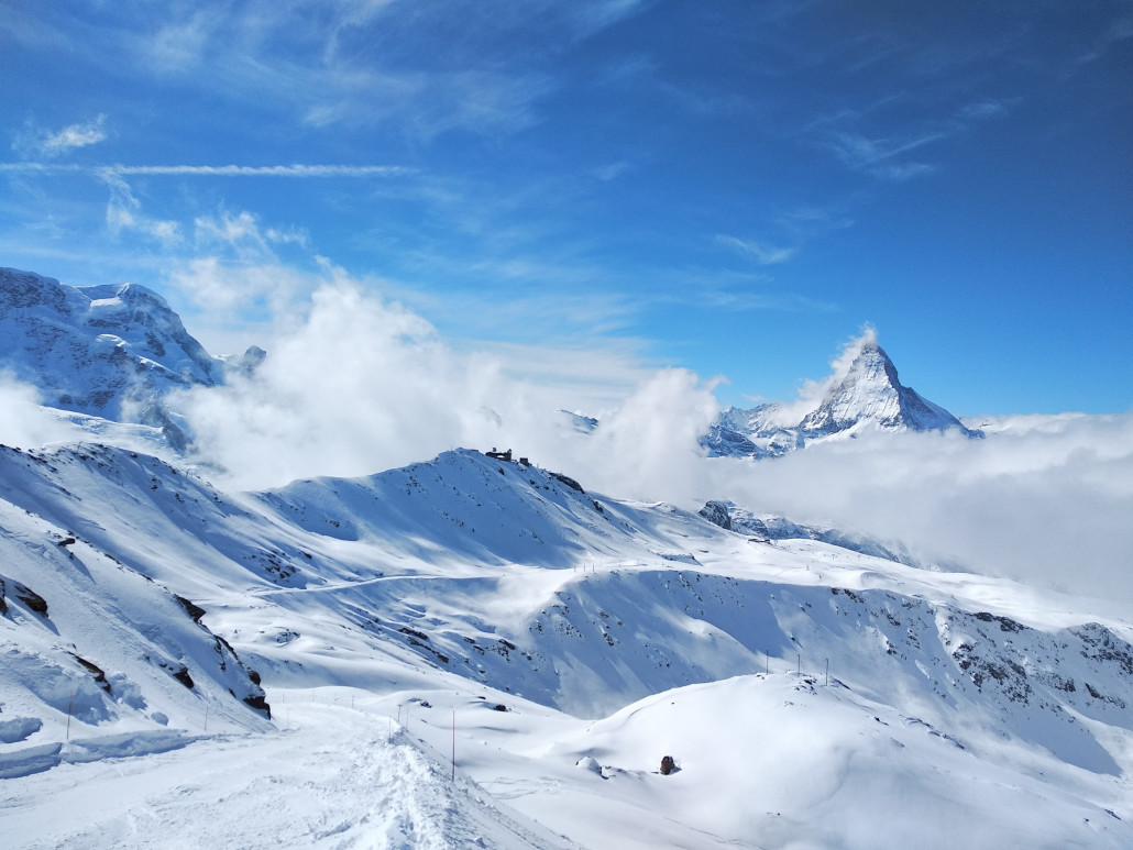 IMG_20210312_130844 Rosenritz.jpg