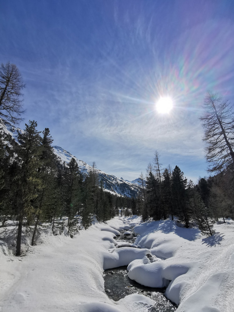 Langlauf Aussichten Val Roseg