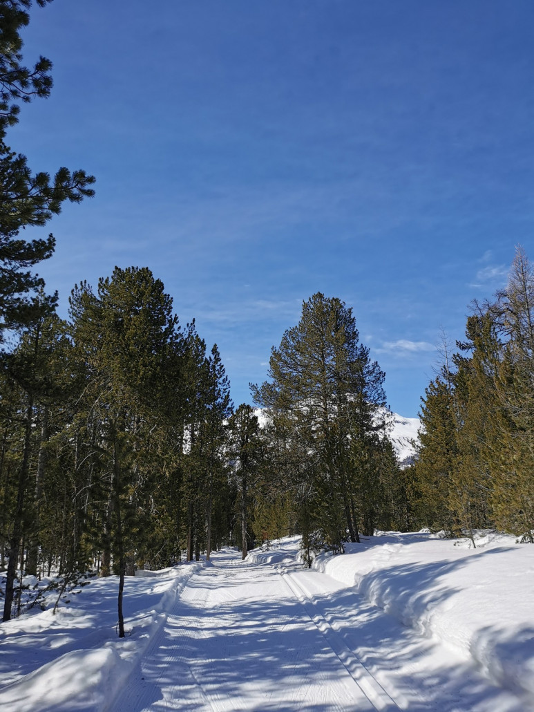 Traumloipe Pontresina>Celerina