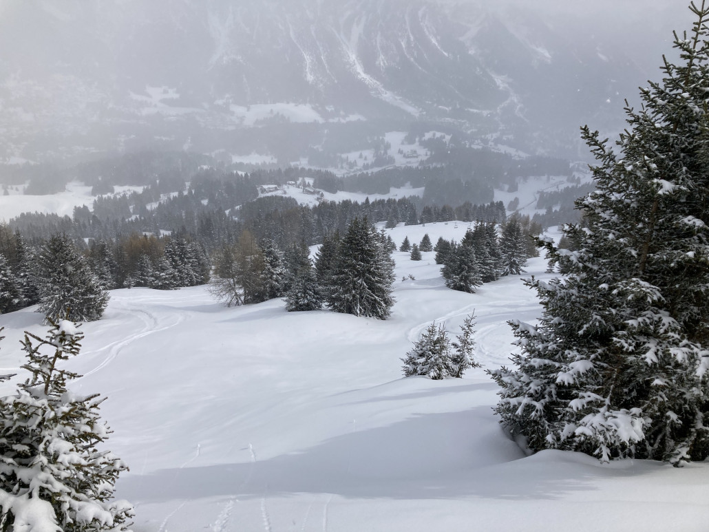 Ein Fauxpass der ärgerlichen Sorte passierte mir heute: Mein Rucksack fiel während der Bergfahrt mit der Sesselbahn Scalottas runter. Keine Piste weit und breit. Also musste ich mal wieder ins Gelände. Da ich grösstenteils auf der Piste fahre, sind Abfahrten off-piste selten. Es hat mir gefallen. Etwa 20cm Neuschnee auf harter aber unruhiger Unterlage.