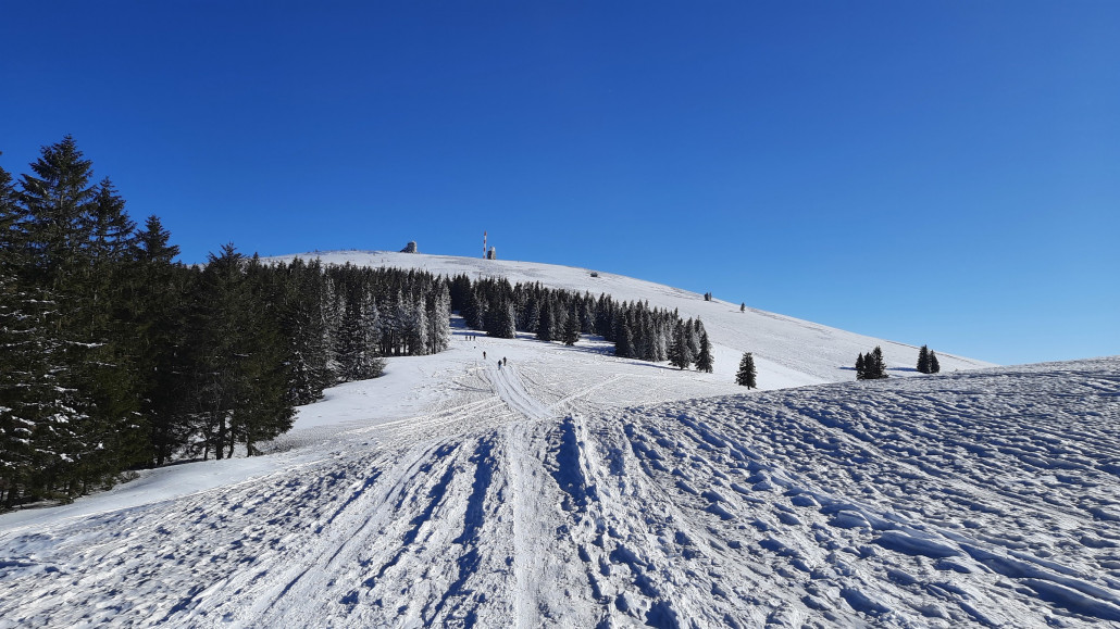 Blick auf den Feldberg