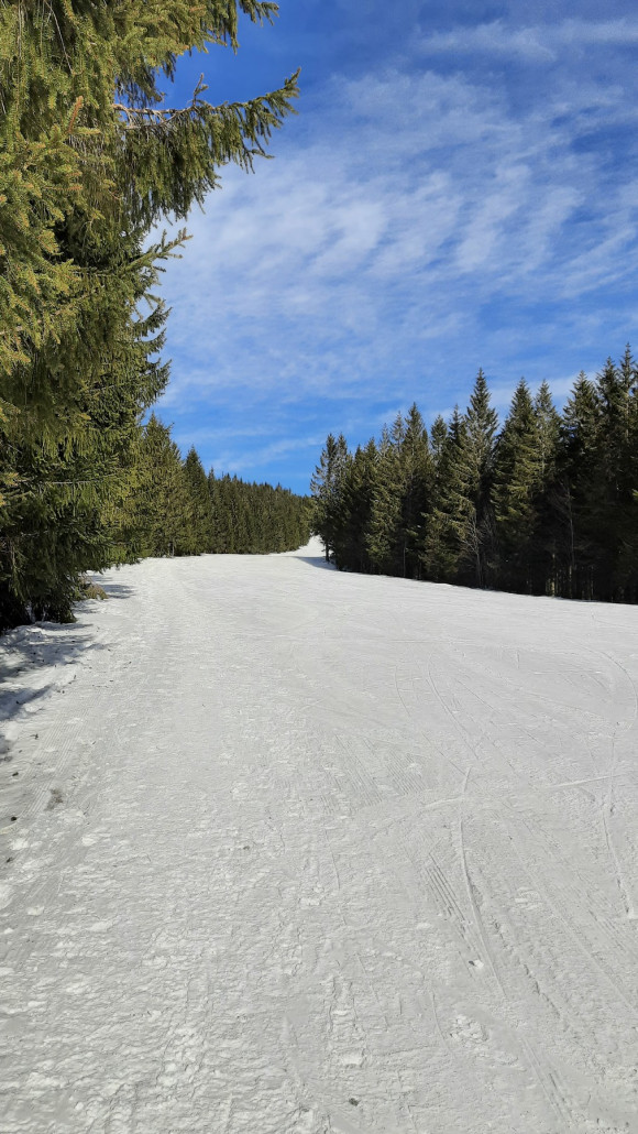 Leere Piste - Stübenwasen