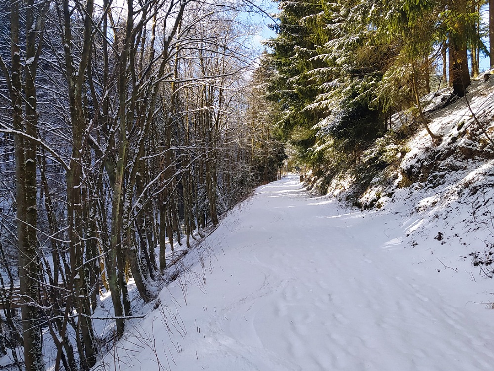 Rothaarsteig Skiroute