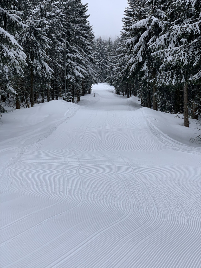 Man ist heute tw. Mit Pistenbully rumgefahren (z.B. Lanzen einsammeln etc.) &amp; hat nebenbei auf Haupthang und Himmelsleiter 1ne Frische Spur gezogen.
