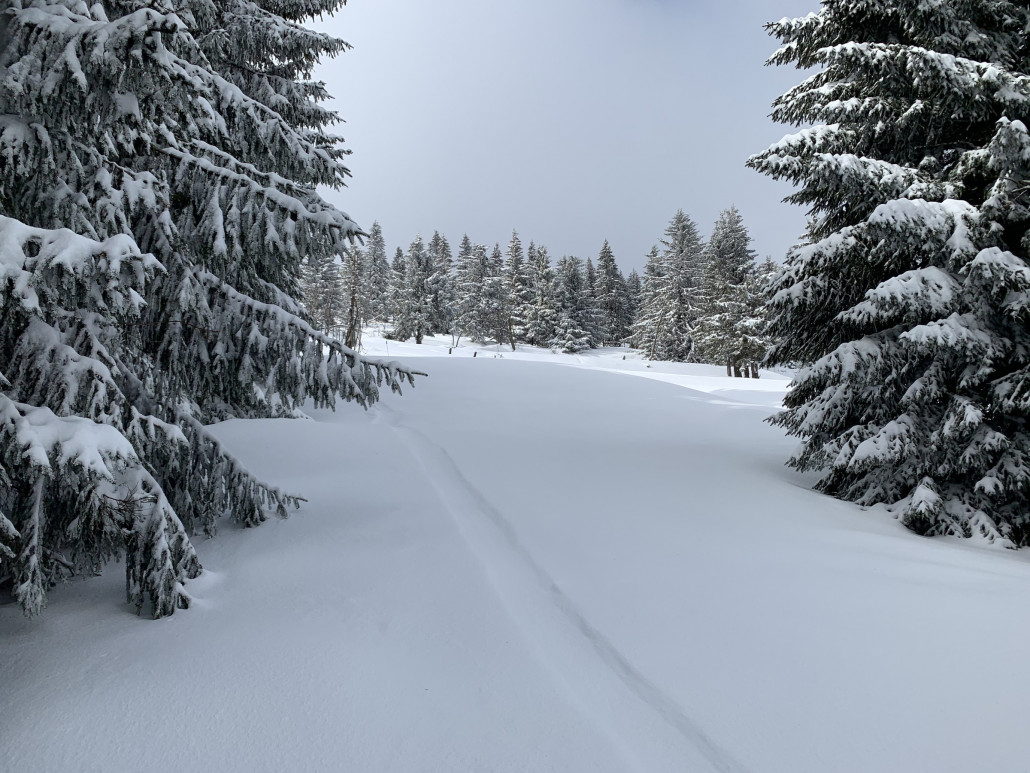 Zw. Südhang und Kurvenschlepper.
