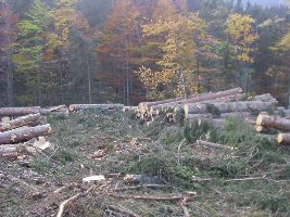 Parkplatzerweiterung