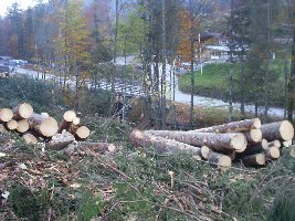 Parkplatzerweiterung