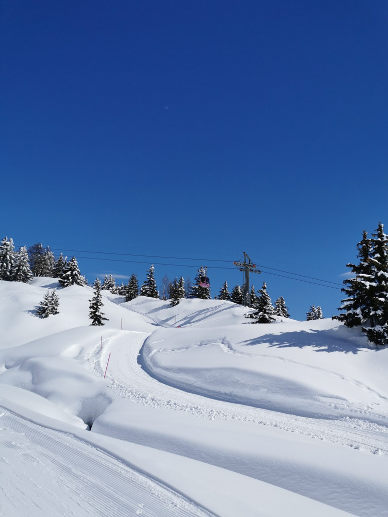 hochwinterlich im März