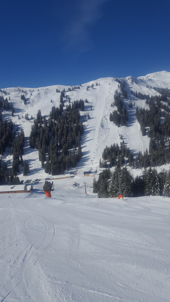 Blick zum sunnegg steilhang