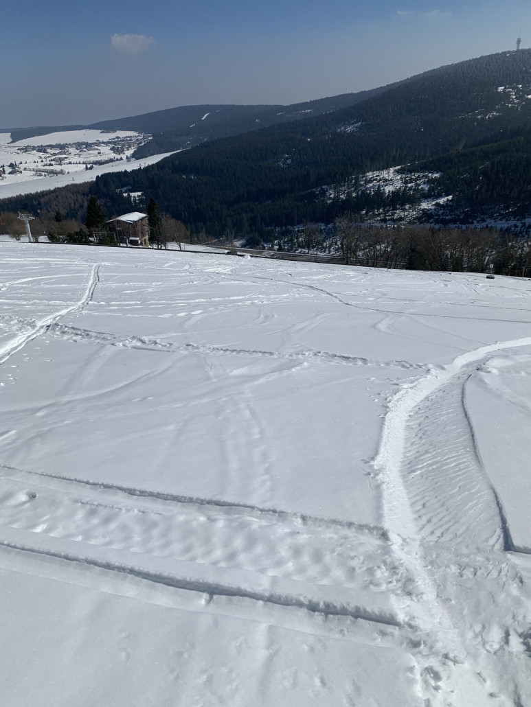 Unterer Südhang Teil