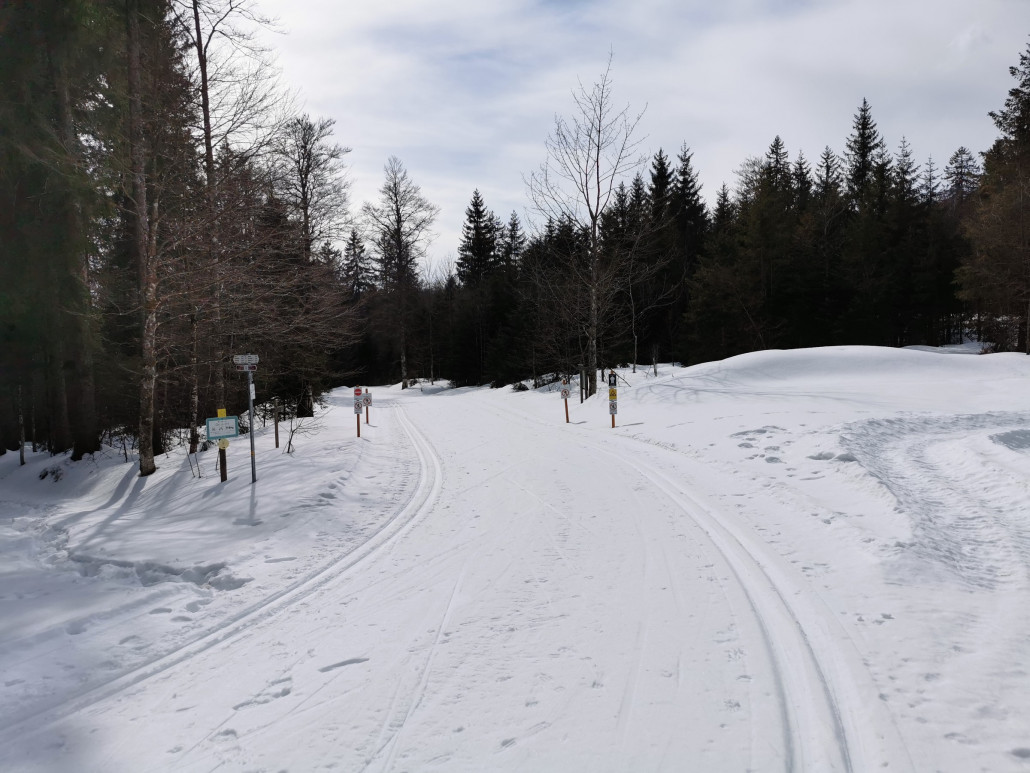 Försterspur in exzellentem Zustand