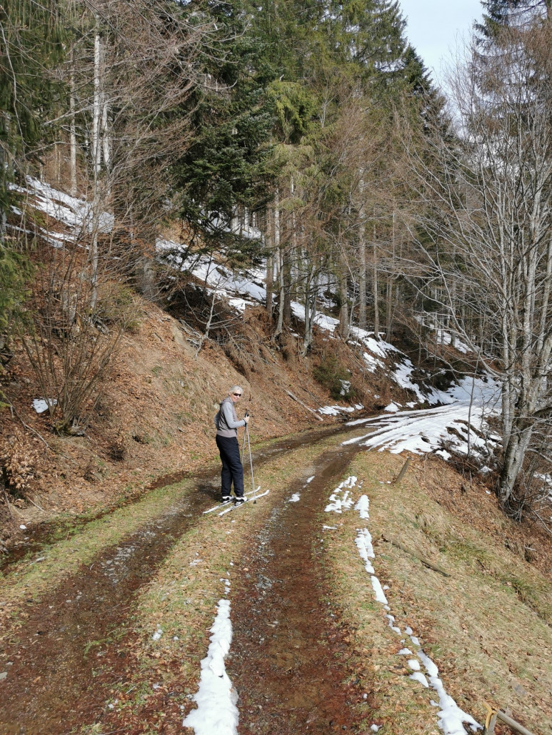 Panoramaloipe hatte seine Löcher, war aber insgesamt noch OK. Glaube aber, dass das schon morgen kaum noch geht...
