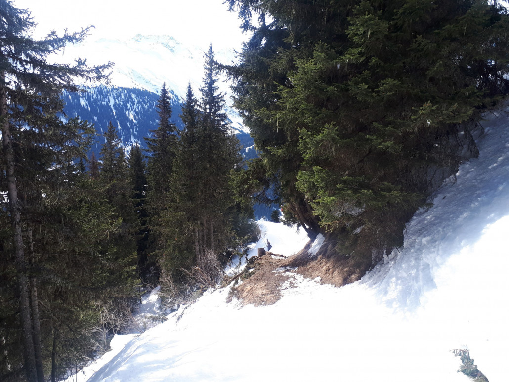Weiter unten musste man abschnallen. Eigentlich müsste man nur auf dem etwa 300 Meter langen Stück eine Traverse in Raupenbreite anlegen und könnte die Piste so einfach herrichten.
