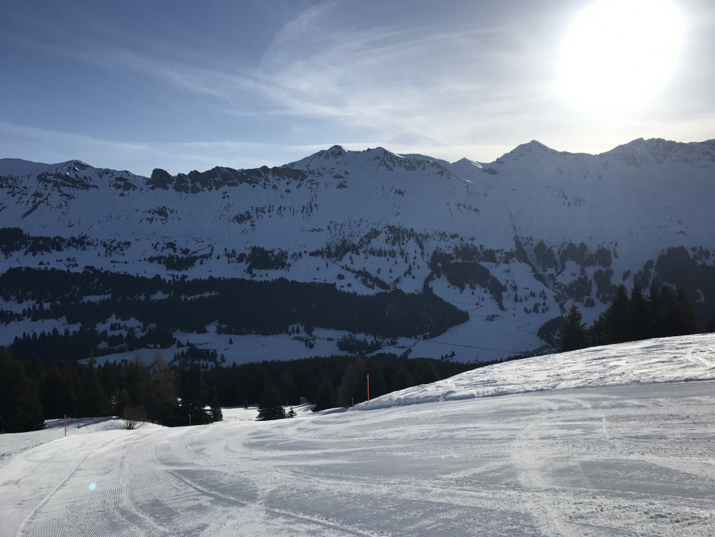 2021-03-29 08.51.06.jpg