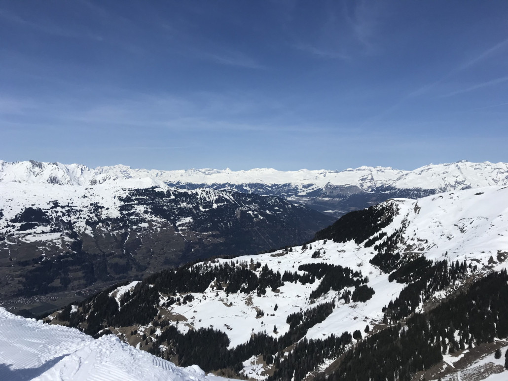 2021-03-29 11.51.39.jpg