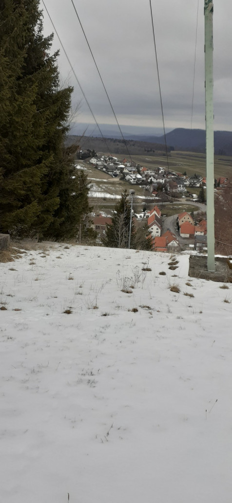BLICK  ZU FRAU FEDERLE UND HERR PALMER