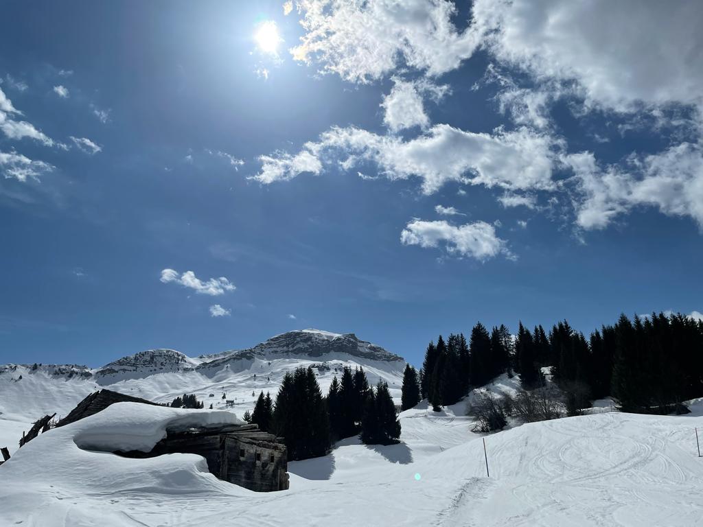 Sasolas an Ostern. Ein Augenschmaus.