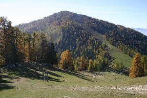 Irgendwas wurde auf der Piste gemacht, da bin ich mir sicher (siehe Farbe).