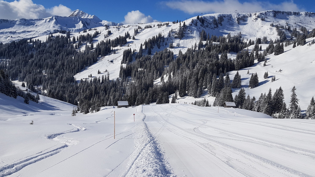 Powder oder Piste?