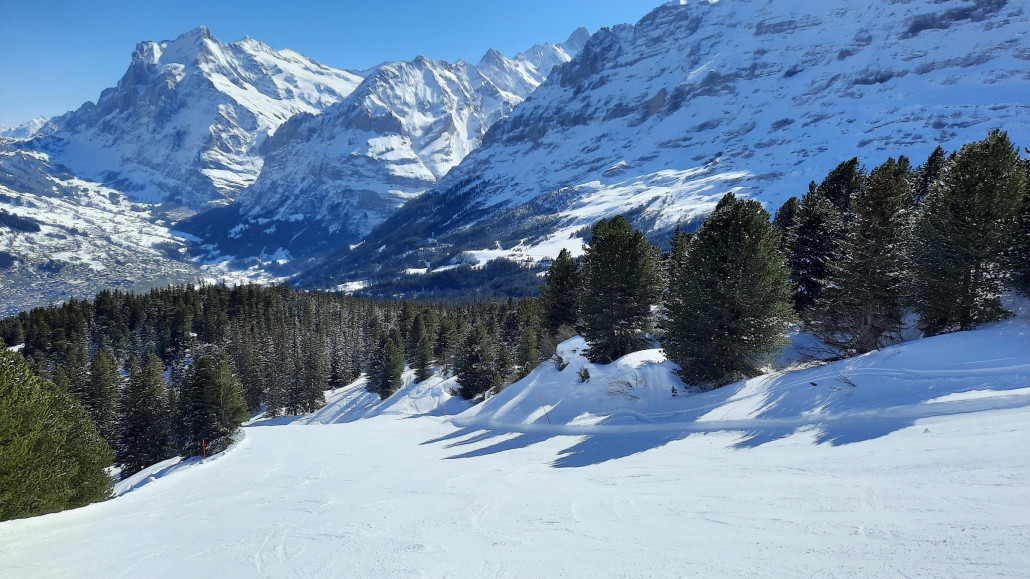 Auch am Bärhag den ganzen Tag sehr gut