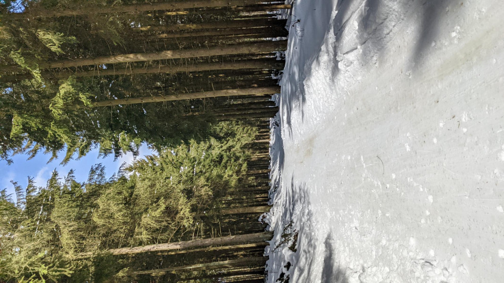 Ritz-Sonne: Der obere Verbindungsweg ist noch gut, der untere ist hinüber.