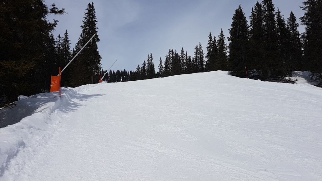 20210409_133551 - Kopie.jpg