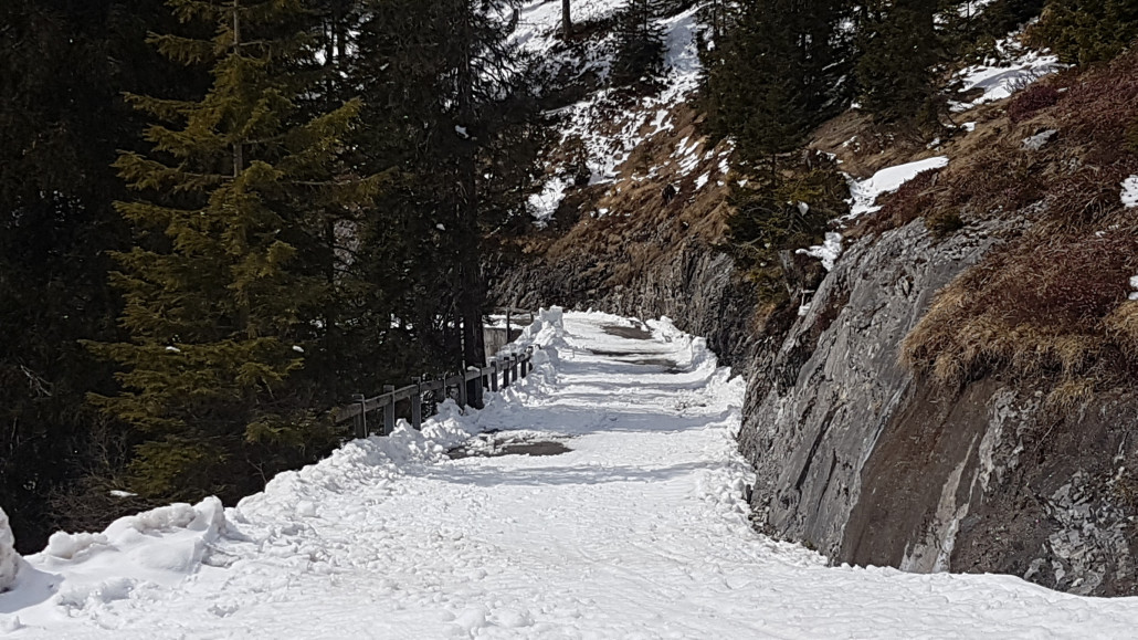 20210409_134112 - Kopie.jpg