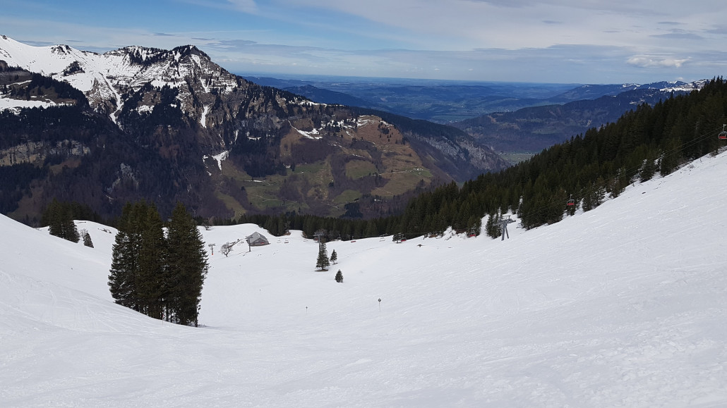 Auf Wiedersehen Suttis!