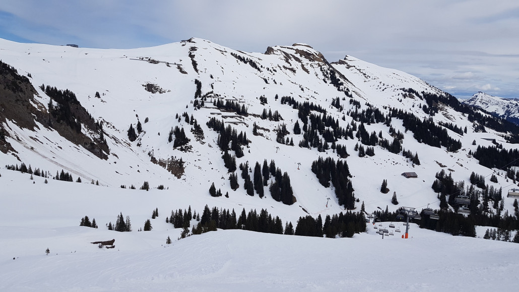 Schneelage Hohe Wacht