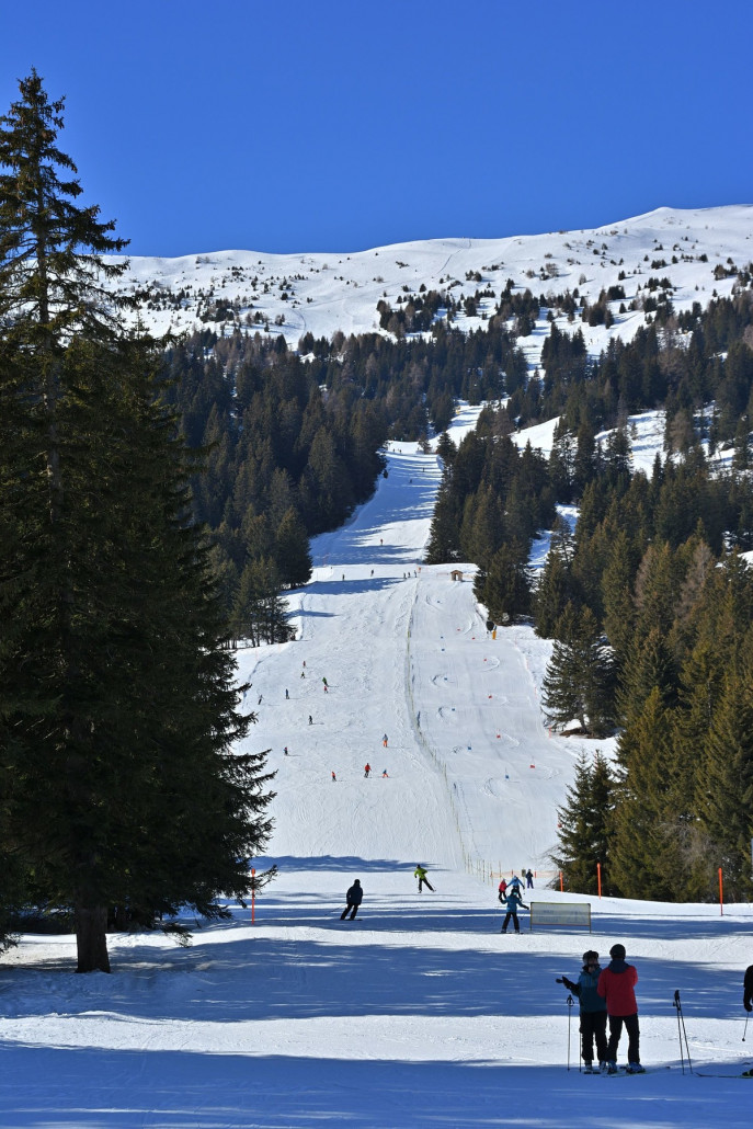 Februar 2021 (018).jpg