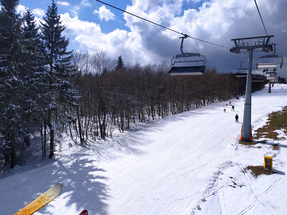 Im Schatten blieb der Neuschnee den ganzen Tag auf den Bäumen liegen