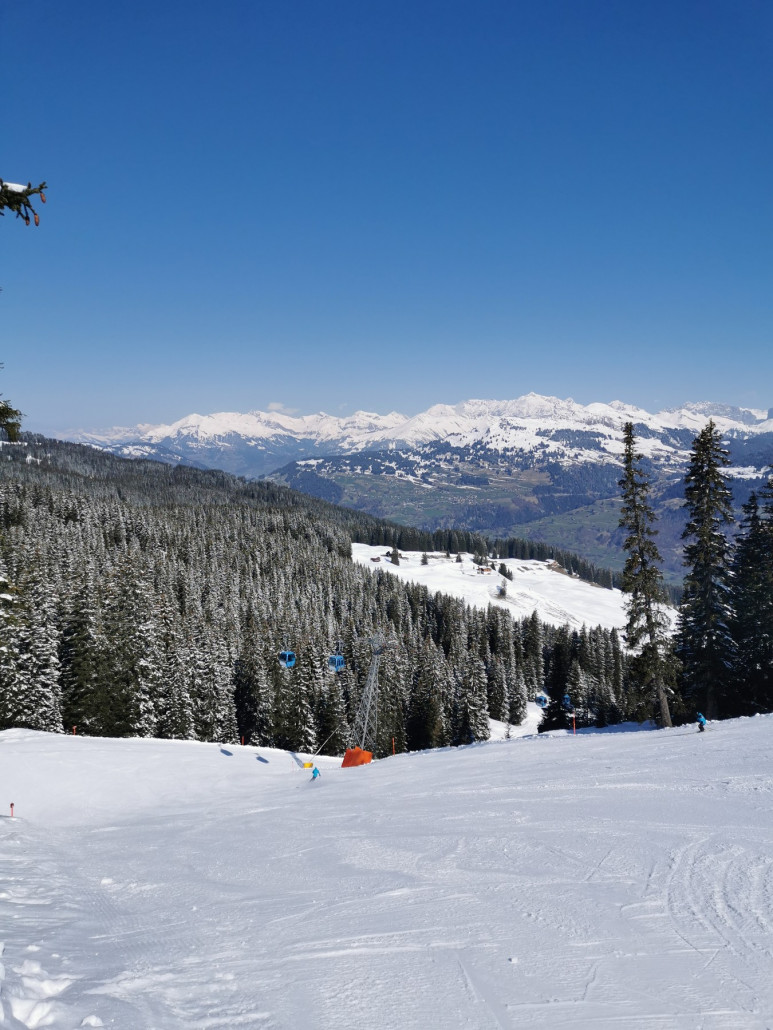 Hochwinter im Frühling 3