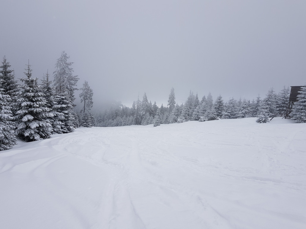 Nach der Rechtskurve im oberen Teil der Piste.