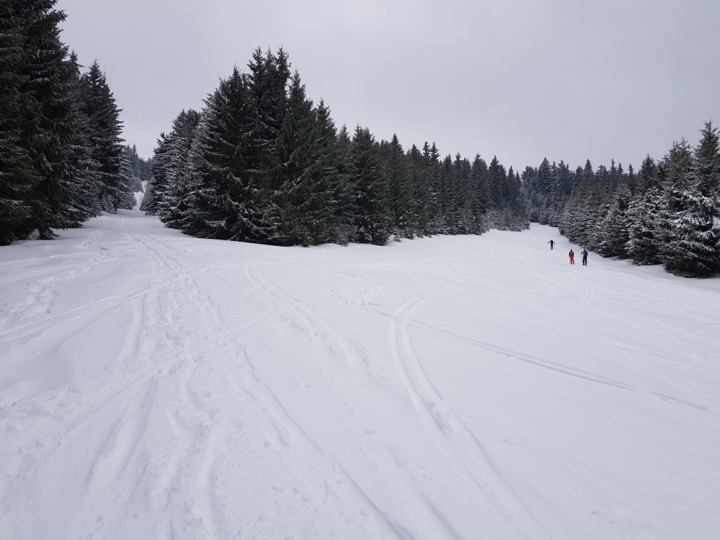 Nach dem Crottendorfer Weg. Links geht mal die Trasse der 6-KSB lang.