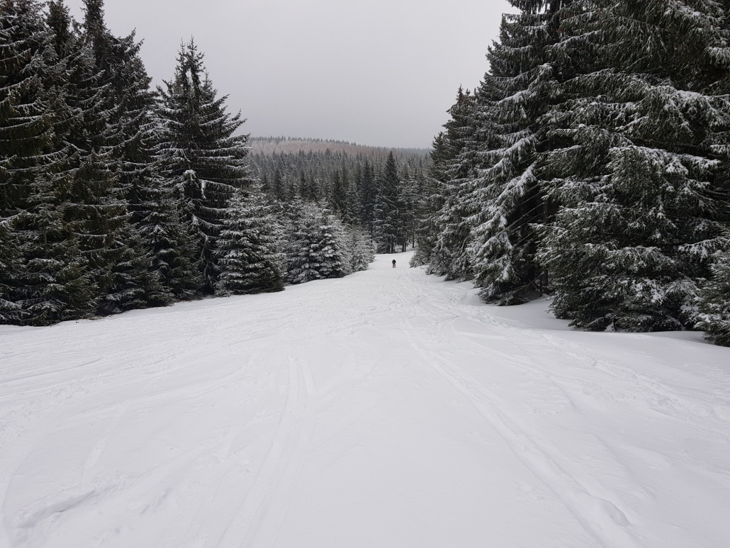 Abschnitt vor der Talstation